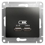 Розетка USB 2-м СП Glossa тип A+A 5В/2100мА 2х5В/1050мА механизм антрацит SE GSL000733 504575