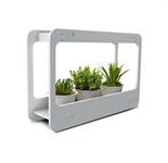 Подставка-светильник PMG 002 LED 14Вт 4000К для растений JazzWay 5009554 484720