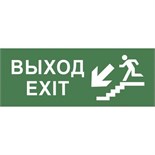 Этикетка самоклеящаяся 200х60мм "Выход/лестница вниз/фигура" DPA/DBA INFO-DBA-013 ЭРА Б0048465 1498873