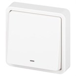 Выключатель Эксперт 11-1522-01 с подсветкой IP55 10АХ-250В СУ бел. Эра Б0063279 1871626