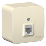Розетка компьютерная 1-м ОП Blanca RJ45 кат.5E с изолир. пластиной молочн. SE BLNIA045002 1210523