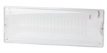 Светильник светодиодный DPA-301-0-65 40LED 3ч IP65 аварийный непостоянный Эра Б0044405 1372707