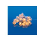 Гирлянда LED "Шишки" ULD-S0500-050/DTA WARM WHITE IP20 PINE CONES 5м 50 диодов тепл. бел. свет провод прозр. Uniel UL-00007192 1381536