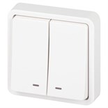 Выключатель Эксперт 11-1525-01 двойн. с подсветкой IP55 10АХ-250В СУ бел. Эра Б0063304 1871628