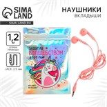 Наушники вкладыши в пакете «Зажигай волшебством этот мир», 10 х 15 см 5443396