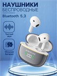 Наушники беспроводные Borofone BW30, вкладыши, TWS, микрофон, BT5.3, 30/200 мАч, серые 9603971