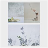 Фотофон двусторонний бумага 300 гр "Изящные растения" 57х87 см 9928065