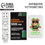 Зарядное устройство «100% заряд», 5000мА 10132615