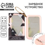 Зарядное устройство «Harmony», 5000мА, мод. PB-02, 10,4 х 6,4 см 10203981