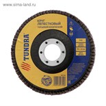 Круг лепестковый торцевой конический ТУНДРА, 115 х 22 мм, Р40 1857745