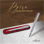 Ручка подарочная, шариковая, поворотная, в пластиковом футляре, серебристая, "Шотландка" 107269