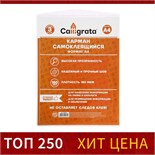 Карман самоклеящийся А4, 223 х 303 мм, комплект 3 штуки, Calligrata, 180 мкм, на лицевую сторону папок и любые гладкие поверхности 1929470