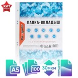 Файл-вкладыш А5, 30 мкм, Calligrata, глянцевый, вертикальный, 100 штук 3258533