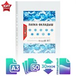 Файл-вкладыш А3, 30 мкм, Calligrata, глянцевый, вертикальный, 50 штук 3258536