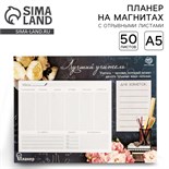 Планер на магнитах с отрывными листами «Лучший учитель», 50 л., 15 х 20 см (размер части для заполнения 10 х 13 см) 3957830