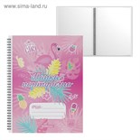 Папка-портфолио с 40 вкладышами А4, 550 мкм, ErichKrause Rose Flamingo, спираль, с рисунком 5454204