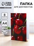 Папка для документов «Docs», 8 файлов А4 5365288