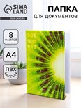 Папка для документов «Docs», 8 файлов А4 5365286