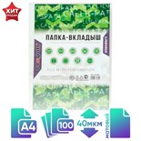 Файл-вкладыш А4, 40 мкм, Calligrata, матовый, вертикальный, 100 штук 6534841