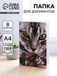 Папка для документов «Docs», 8 файлов А4 5365291