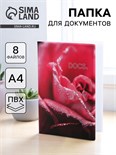Папка для семейных документов «Docs», 8 файлов А4 5365325