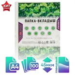 Файл-вкладыш А4, 45 мкм, Calligrata, глянцевый, вертикальный, 100 штук 6534844