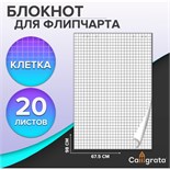 Блокнот для флипчарта в клетку Calligrata, 67.5 х 98 см, 20 листов, 80 г/м2, белизна 92% 7790039