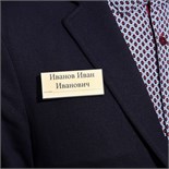 Бейдж горизонтальный, внешний 77 х 34 мм, внутренний 75 х 32 мм, на магните 9933327