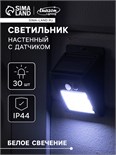 Садовый светильник на солнечной батарее с датчиком движения, накладной, 9.5 × 13 × 5 см, 30 LED, свечение белое 4090233