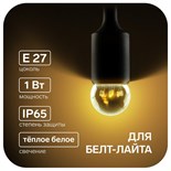 Лампа светодиодная, 6 LED, G45, Е27, 1 Вт, для белт-лайта, т-бел, наб. 10 шт 9257405