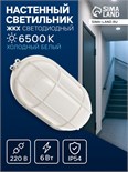 Светильник ЖКХ светодиодный, 6 Вт, IP54, 6500К, 220В, овал, пластик, белый 10698425