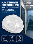 Светильник ЖКХ светодиодный, 8 Вт, IP54, 6500K, 220 В, пластик, белый 10698441