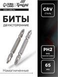 Биты двухсторонние ТУНДРА, намагниченные, сталь CrV, PH2 х 65 мм, 2 шт. 1124363