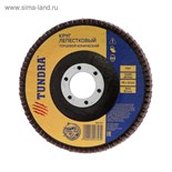 Круг лепестковый торцевой конический ТУНДРА, 115 х 22 мм, Р80 1857747