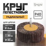 Круг лепестковый радиальный ТУНДРА, 80 х 30 х 6 мм, Р40 1875468