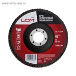 Круг лепестковый торцевой конический ЛОМ, 125 х 22 мм, Р40 2580687