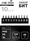 Набор бит ТУНДРА, сталь CrV, PH, PZ, SL х 25 мм, 10 шт. 2270980