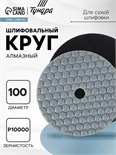 Алмазный гибкий шлифовальный круг ТУНДРА "Черепашка", для сухой шлифовки, 100 мм, № 10000 3594938
