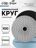 Алмазный гибкий шлифовальный круг ТУНДРА "Черепашка", для мокрой шлифовки, 100 мм, № 5000 3594929