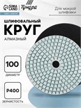 Алмазный гибкий шлифовальный круг ТУНДРА "Черепашка", для мокрой шлифовки, 100 мм, № 400 3594926