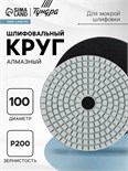 Алмазный гибкий шлифовальный круг ТУНДРА "Черепашка", для мокрой шлифовки, 100 мм, № 200 3594925