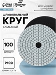 Алмазный гибкий шлифовальный круг ТУНДРА "Черепашка", для мокрой шлифовки, 100 мм, № 100 3594924