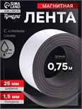 Магнитная лента ТУНДРА, с клеевым слоем, 25 х 1.5 мм, длина 0.75 м 4334646