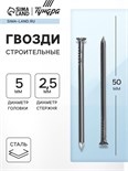 Гвозди ТУНДРА krep, строительные, без покрытия, 2,5х50 мм, 1 кг 5046889