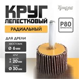 Круг лепестковый радиальный ТУНДРА, 30 х 20 х 6 мм, Р80 5162350