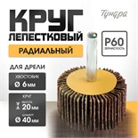 Круг лепестковый радиальный ТУНДРА, 40 х 20 х 6 мм, Р60 5162352