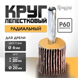 Круг лепестковый радиальный ТУНДРА, 20 х 20 х 6 мм, Р60 5162346