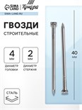 Гвозди ТУНДРА krep, строительные, без покрытия, 2х40 мм, 1 кг 6942910