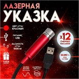 Указка лазерная 12 + 1 насадки от USB 10х14,5 см 9613756