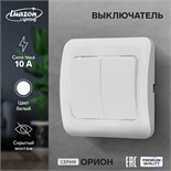 Выключатель Luazon Lighting "Орион", 10 А, 2 клавиши, скрытый, белый 9919816